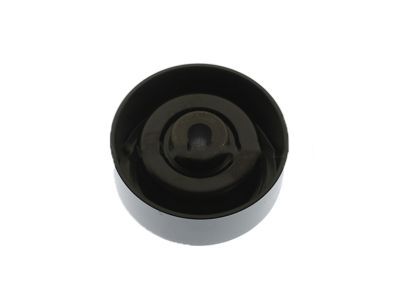 GM 98057284 Idler Pulley