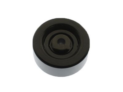 GM 98057284 Idler Pulley