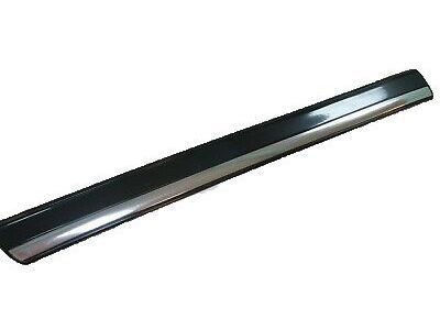 GM 22760306 Body Side Molding, Outer Driver Side