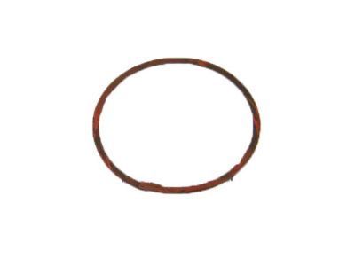 GM 341511 Lock Nut