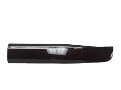 GM 84241760 Lower Molding, Black, Rear Driver Side
