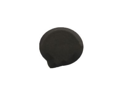 Chevy Volt Body Mount Hole Plug - 95984307