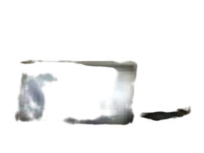 GM 25518491 Muffler & Pipe