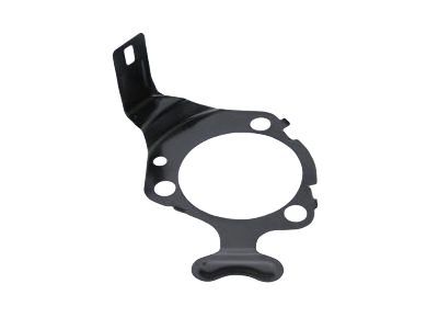 GM 18060856 Backing Plate, Driver Side