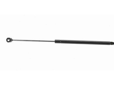 Buick 25620650 Lift Cylinder