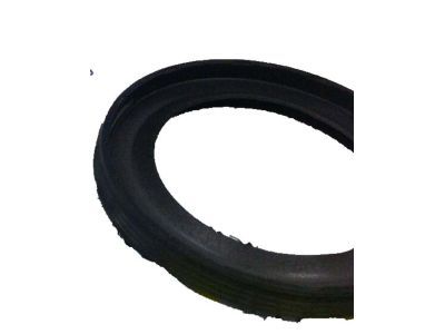 GM 12585673 Oil Seal, Front