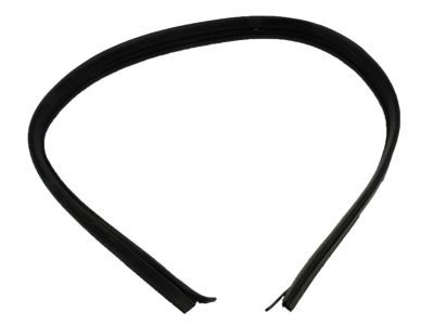 GM 15983928 Weatherstrip, Rear