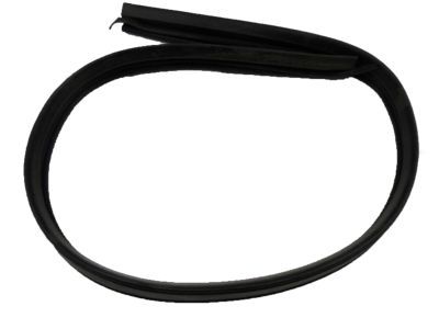 GM 15983928 Weatherstrip, Rear