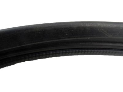 GM 15983928 Weatherstrip, Rear