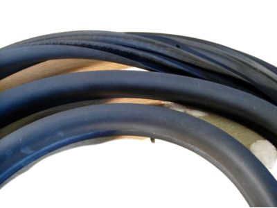 GM 13200156 Door Weatherstrip, Passenger Side
