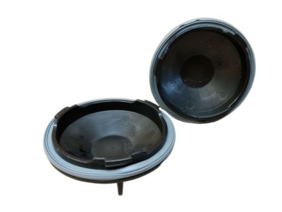 GM 89025061 Access Cover