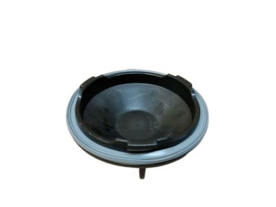 GM 89025061 Access Cover