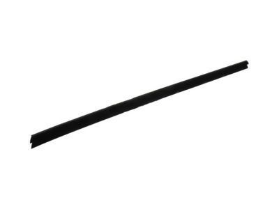 Chevy Weather Strip - 15170062