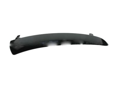 GM 25796406 Side Molding, Passenger Side