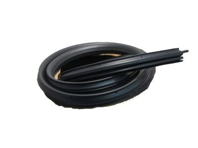 2012 Chevy Silverado 1500 Door Seal - 22766379