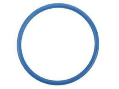 Chevy 12645181 SEAL,FUEL PUMP HOUSING(O RING)(PART OF 3)