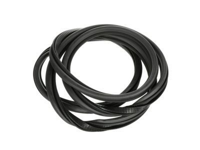 Chevy Astro Weather Strip - 15161704