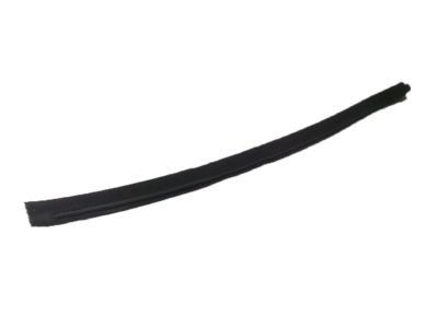 GM 22773040 Belt Weatherstrip, Front Passenger Side