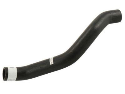Pontiac 25822191 Upper Hose
