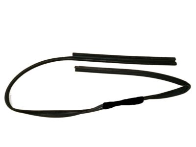Saturn LW2 Door Seal - 24419428