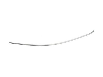 Chevy Malibu Limited Door Moldings - 23176655