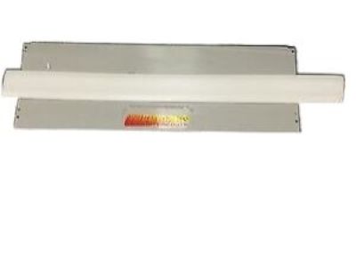 GM 25786791 Body Side Molding, Front Driver Side