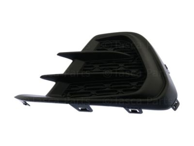 GM 95238851 Trim Cover