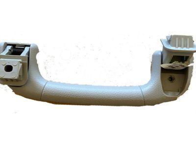 GM 96800992 Grip Handle, Titanium