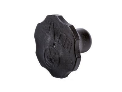 GM 22757837 Cap, Turbocharger/Supercharger Cooling