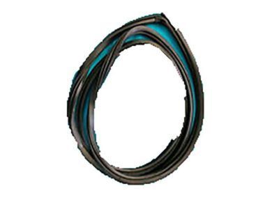 GMC S15 Jimmy Door Seal - 15700884