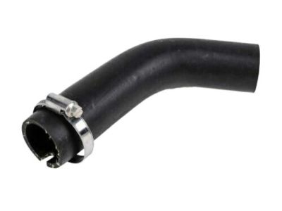 Chevy Equinox Fuel Filler Hose - 25802833