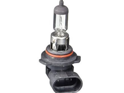 GM 19257054 Bulb & Socket