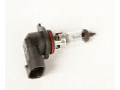 GM 19257054 Bulb & Socket