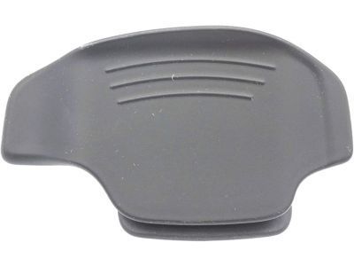 GM 13297281 Paddle Switch, Driver Side
