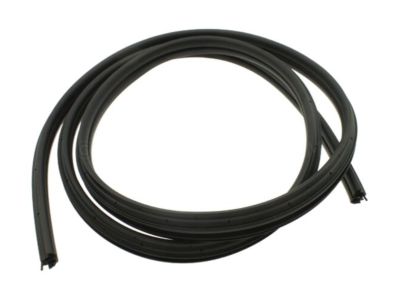 2006 Chevy Trailblazer Weather Strip - 19168173