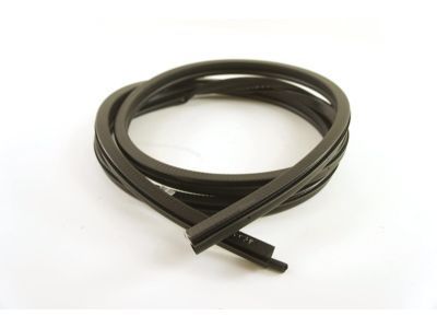 Chevy C3500 Weather Strip - 15766539