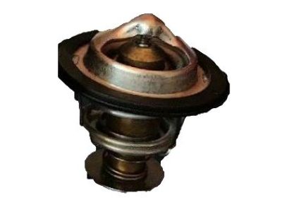 GM 24507563 Thermostat