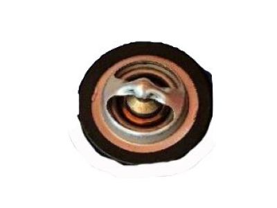 GM 24507563 Thermostat