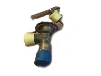 GM 52467813 Expansion Valve