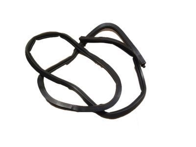 Chevy Monte Carlo Weather Strip - 10419497