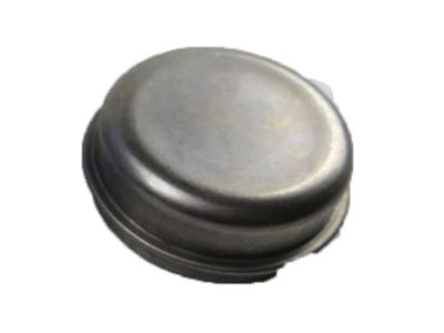 GM 15602628 Grease Cap, Front