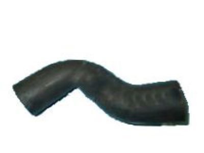 1993 Chevy Corvette Radiator Hose - 10258276