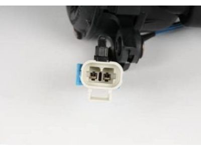 GM 21015056 A.I.R. Pump