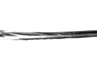 GM 10311255 Belt Weatherstrip, Black, Front Passenger Side