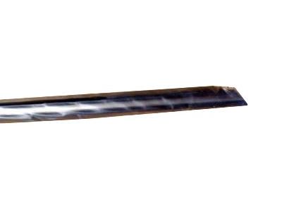 GM 10311255 Belt Weatherstrip, Black, Front Passenger Side