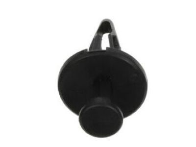 Chevy 10134407 Hinge Cover Retainer
