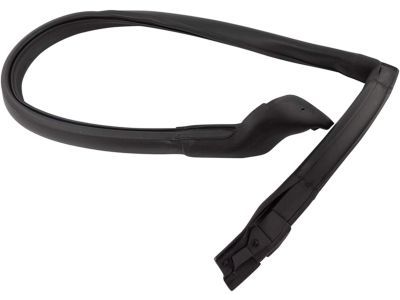 Chevy 10333468 WEATHERSTRIP,FRONT SIDE DOOR WINDOW UPPER FRONT