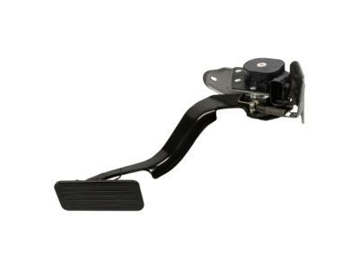 GM 15177923 Pedal, Accelerator (W/Module & Position Sensor)