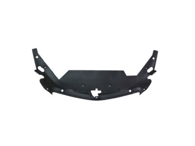 GM 23199234 Sight Shield, Front