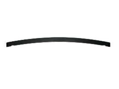 GM 15098996 Center Filler, Front